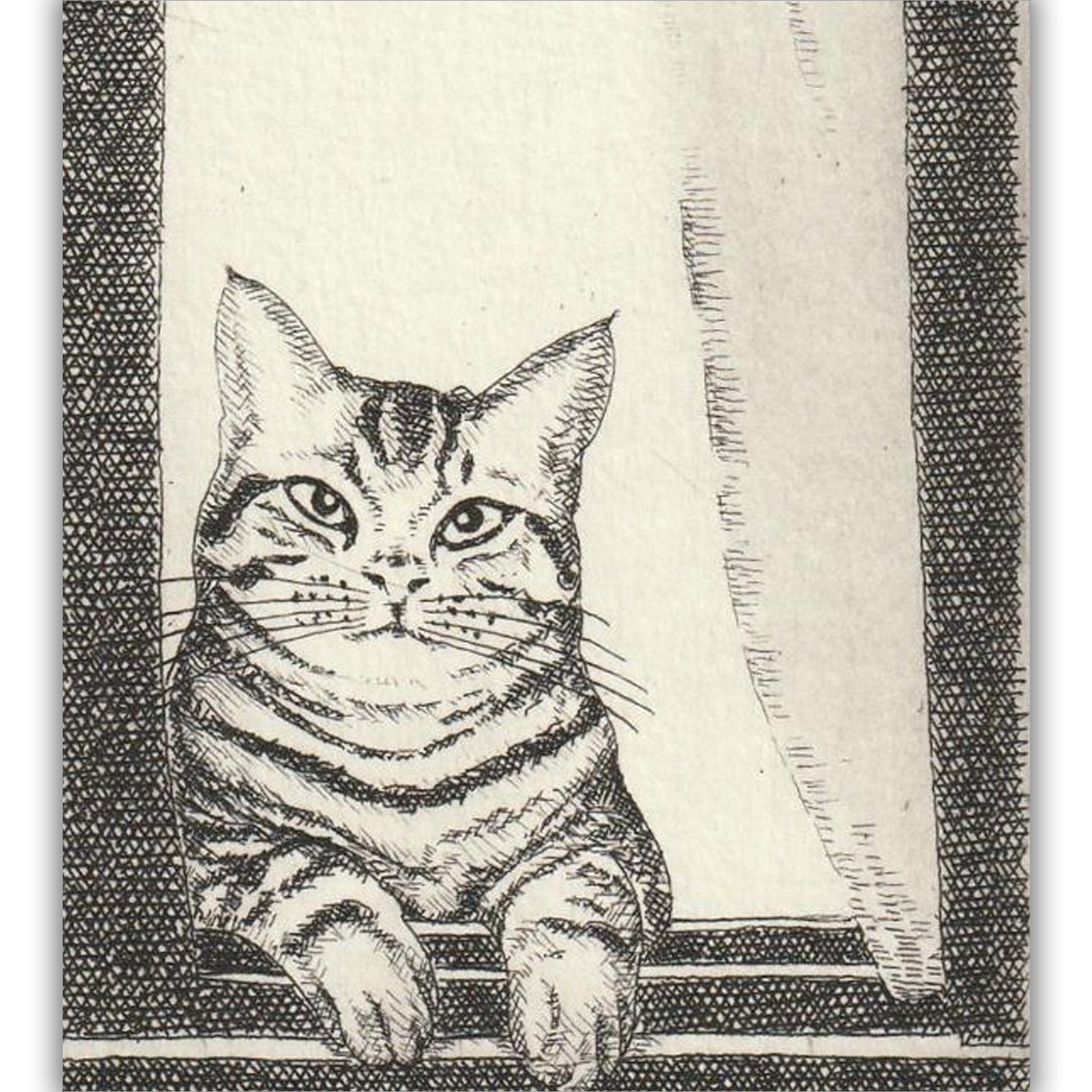 中井武志 橱窗猫 限量签名8 70 铜版画博悦堂 博悦堂